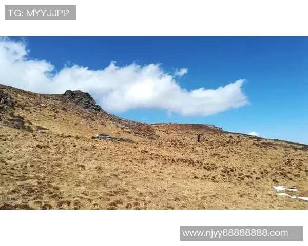 攀岩人生的深度对话:周军如何在高峰与挑战中找到自我 攀岩人生的深度对话:周军如何在高峰与挑战中找到自我