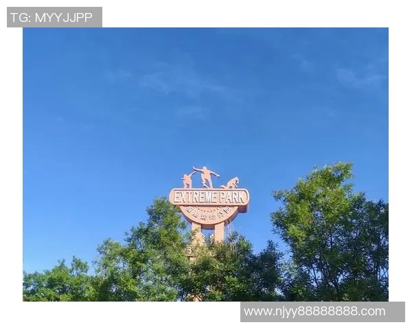 极限运动的蜕变与追求：杭州极限运动队的成长与转型故事