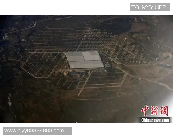 重磅专题：探索V5快攻革新背后的技术与战术变革